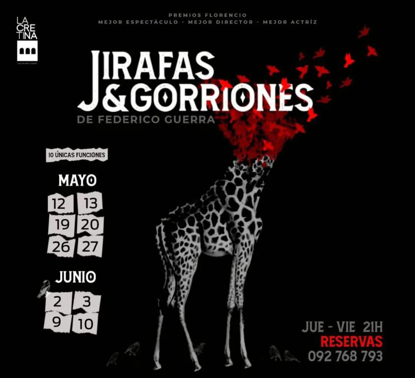Jirafas & Gorriones
